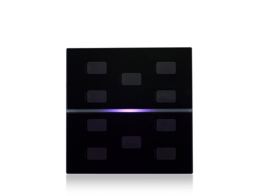 [9025GL10W03] Eelectron CUSTOM GLASS - 10 CH. – LINE SERIES - RGB - BLACK